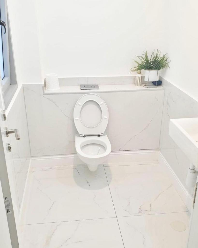 אמיר זגורסקי אמיר זגורסקי