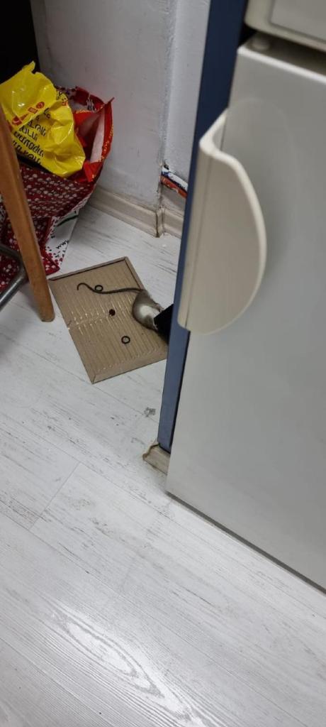 לב הדברות לב הדברות