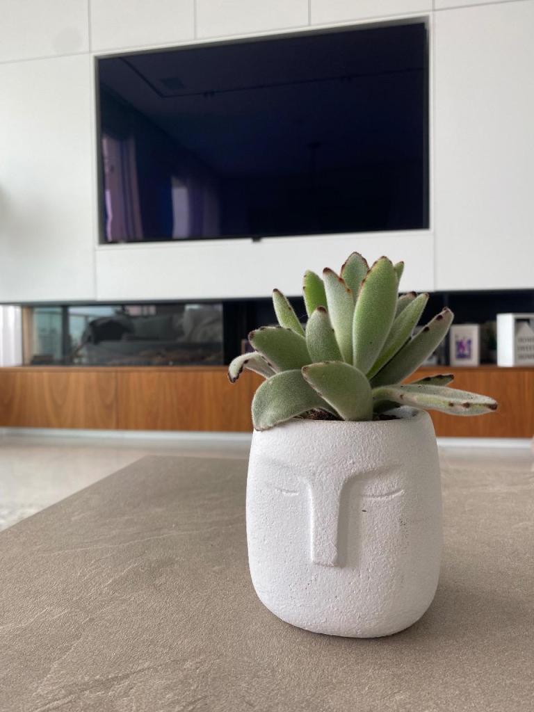 אומנות הטבע אומנות הטבע