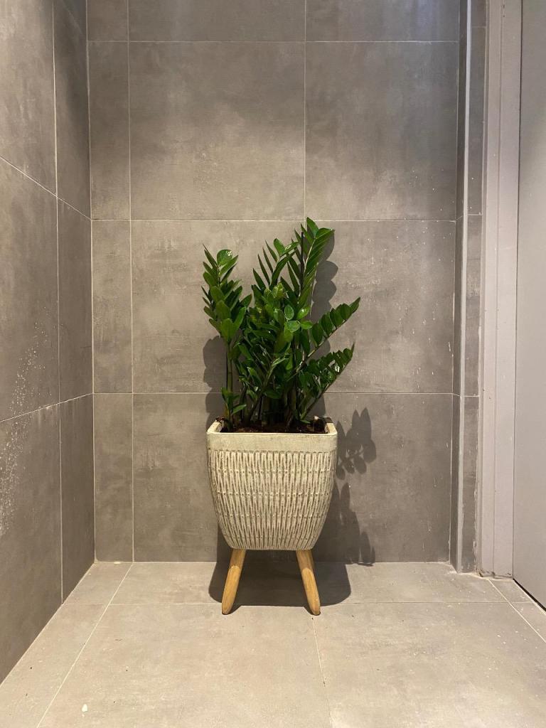 אומנות הטבע אומנות הטבע