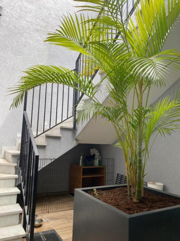 אומנות הטבע אומנות הטבע