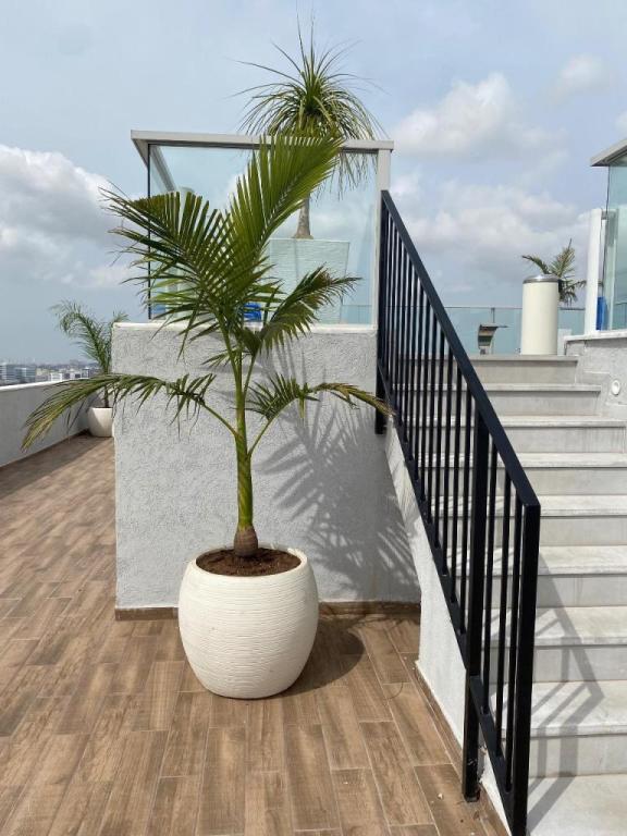 אומנות הטבע אומנות הטבע