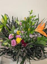 Fleurs du soleil