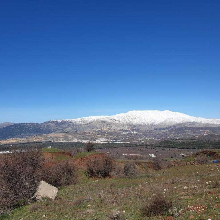 גאזל טיולי גיפים גאזל טיולי גיפים