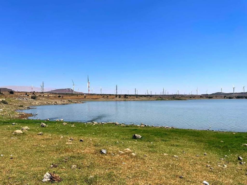 גאזל טיולי גיפים גאזל טיולי גיפים