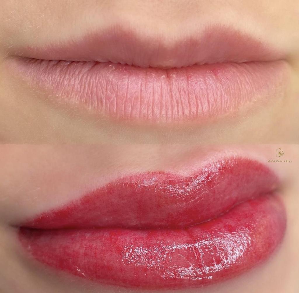 סיגל גיל סיגל גיל