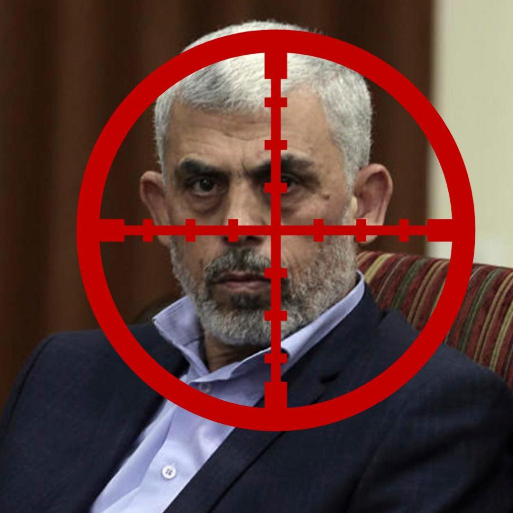 רועי ריבק רועי ריבק