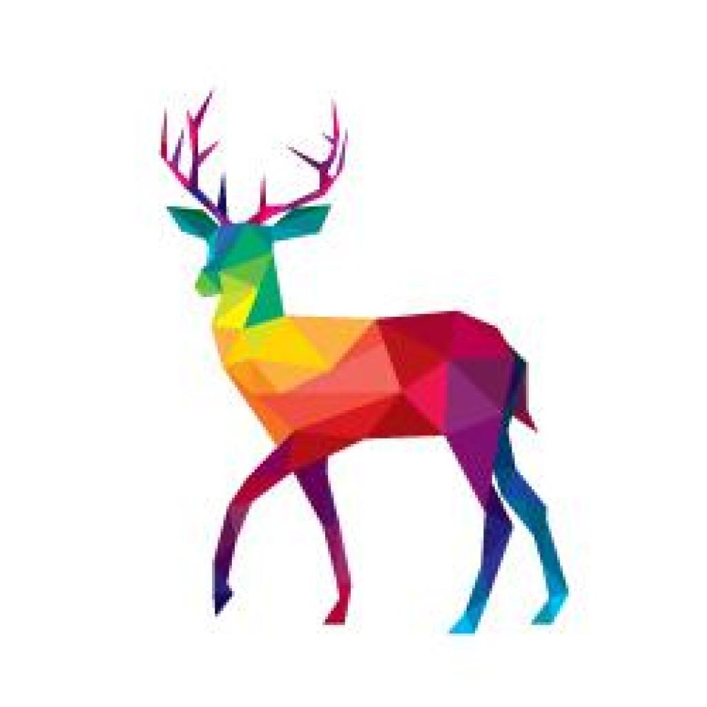 בניית אתרים צבי בניית אתרים צבי