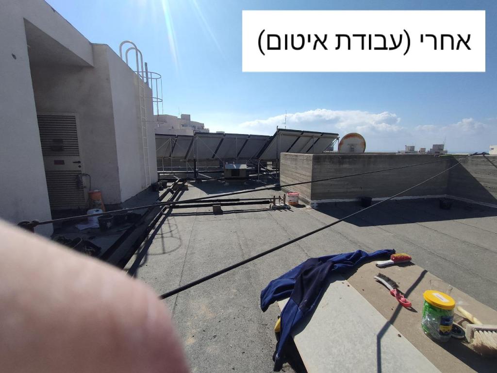 הצבעים הצבעים