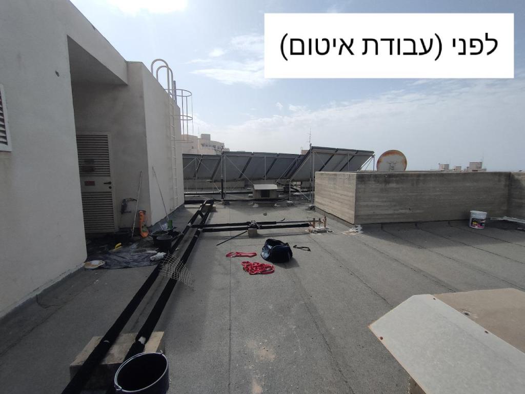 הצבעים הצבעים