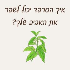 עינת נטורופתית פריון