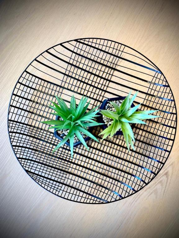 לאופרד לאופרד