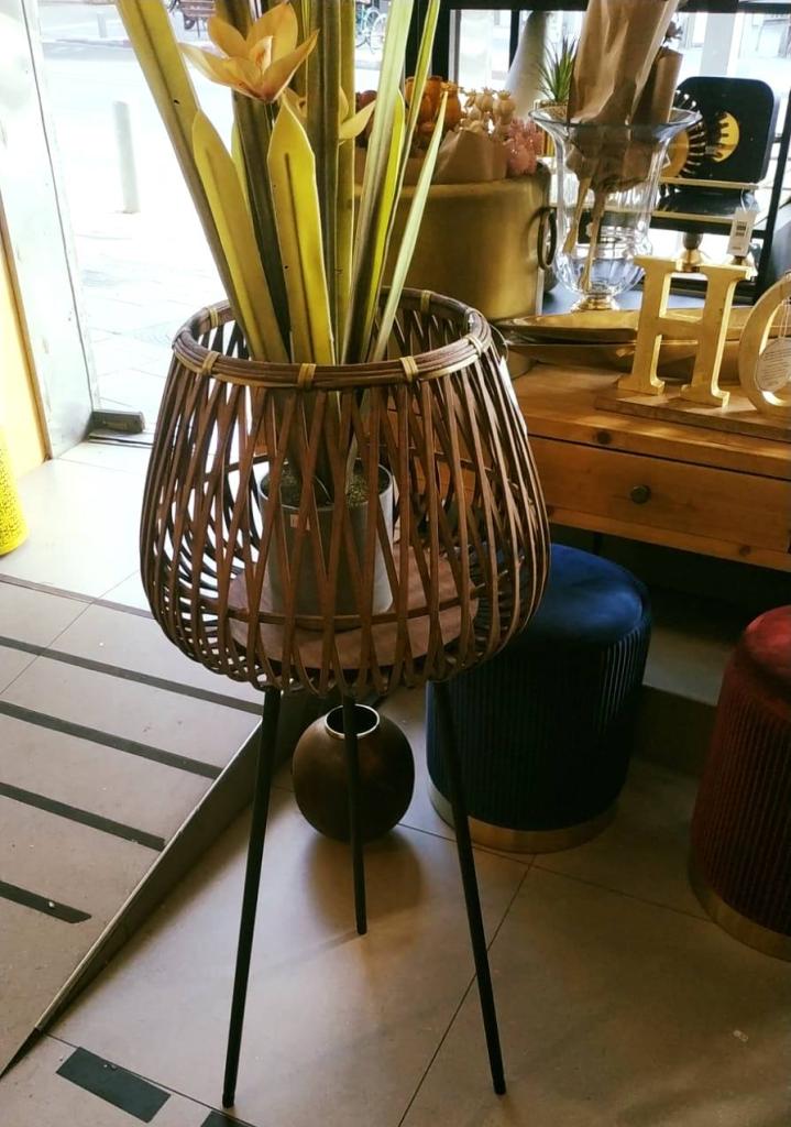 לאופרד לאופרד