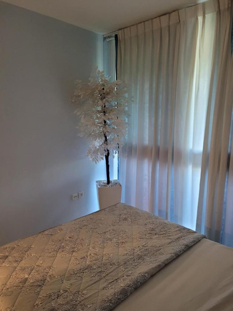 לב קיסריה לב קיסריה