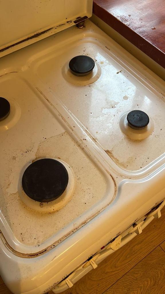 הבית הנוצץ הבית הנוצץ