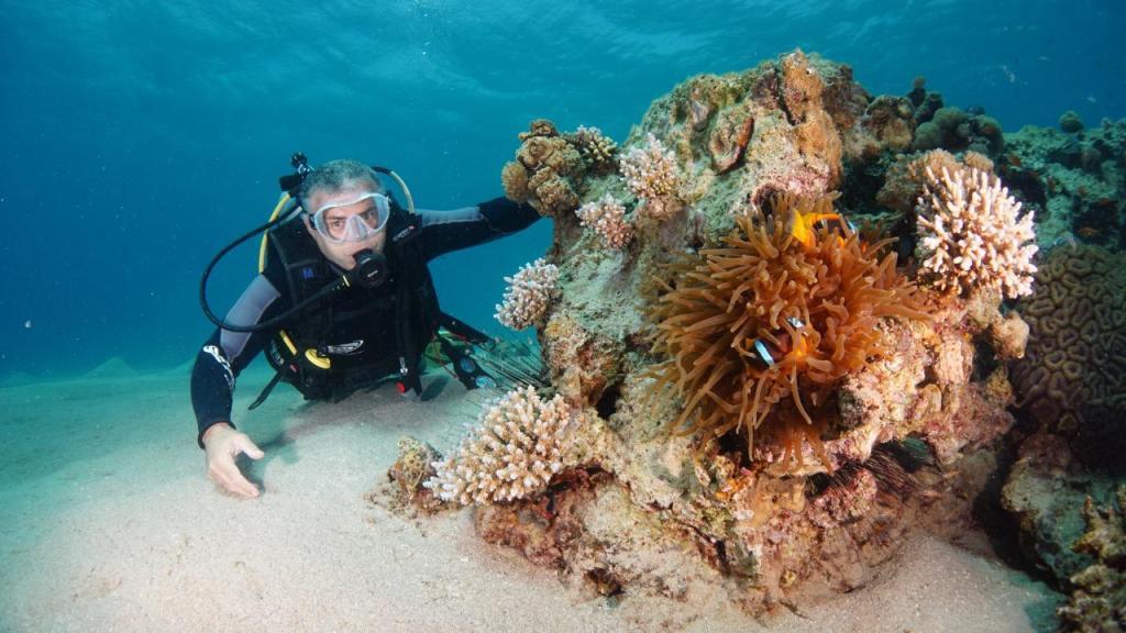נאוטילוס רד סי נאוטילוס רד סי