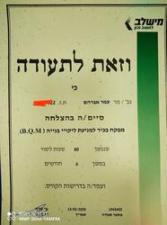 לביא עיצובים