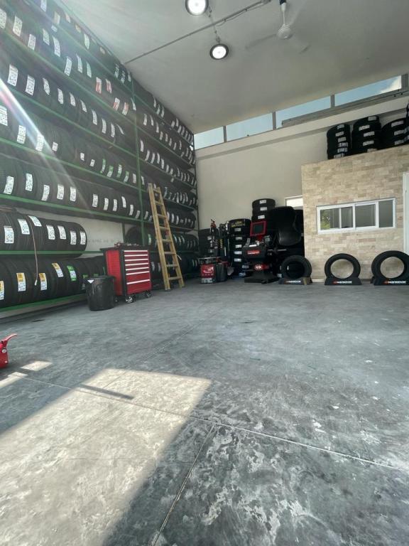 גרין טייר גרין טייר