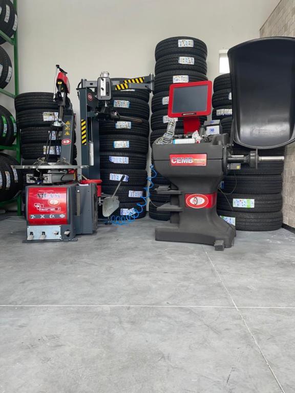 גרין טייר גרין טייר