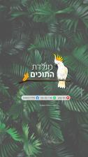 מולדת התוכים