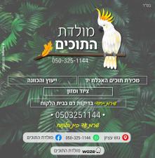 מולדת התוכים