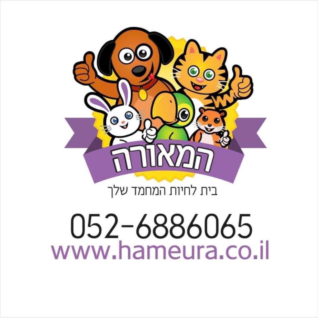 המאורה הבית לחיית המחמד המאורה הבית לחיית המחמד