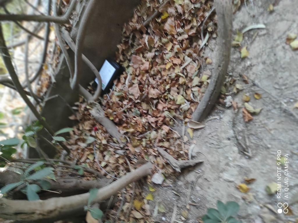 סגל הדברות סגל הדברות