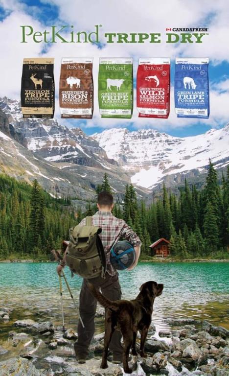 חנות החיות שלי חנות החיות שלי