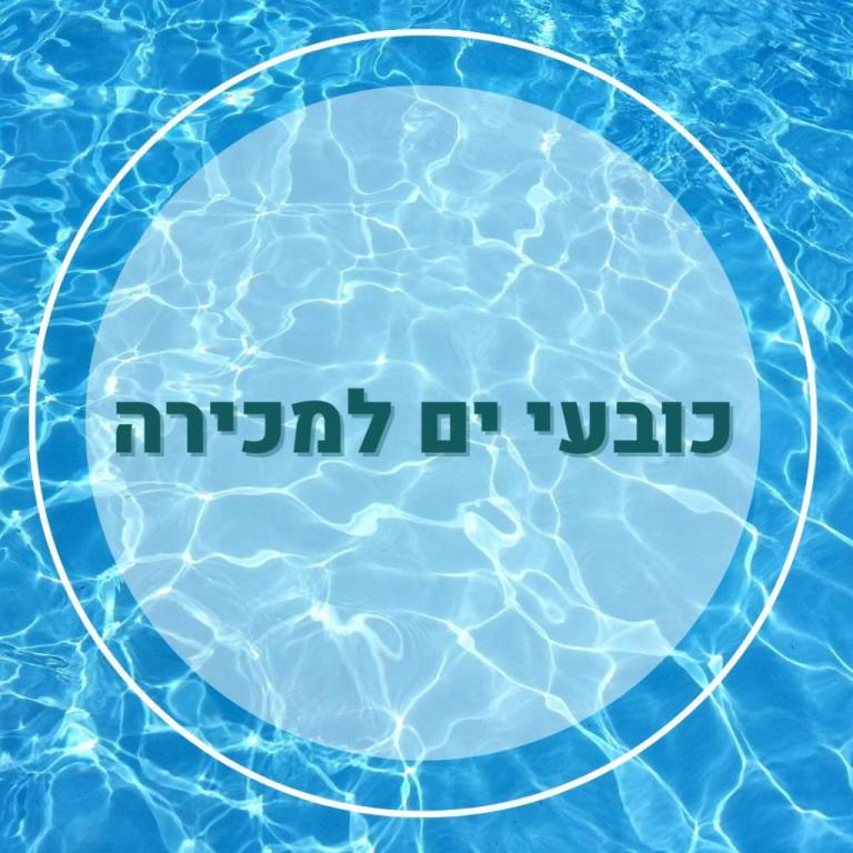 אל אגוואה בריכת שחייה אל אגוואה בריכת שחייה