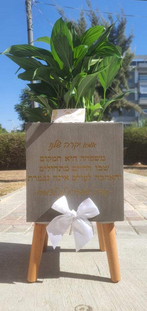 אלה עיצובים ומיתוג אלה עיצובים ומיתוג