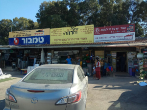 הידור הדיור יזמות ובניין