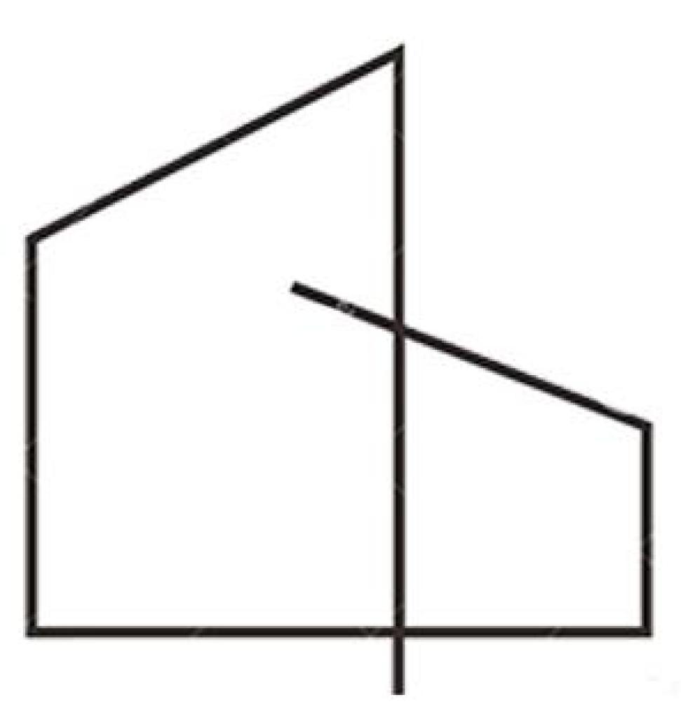 רישוי מהיר רישוי מהיר