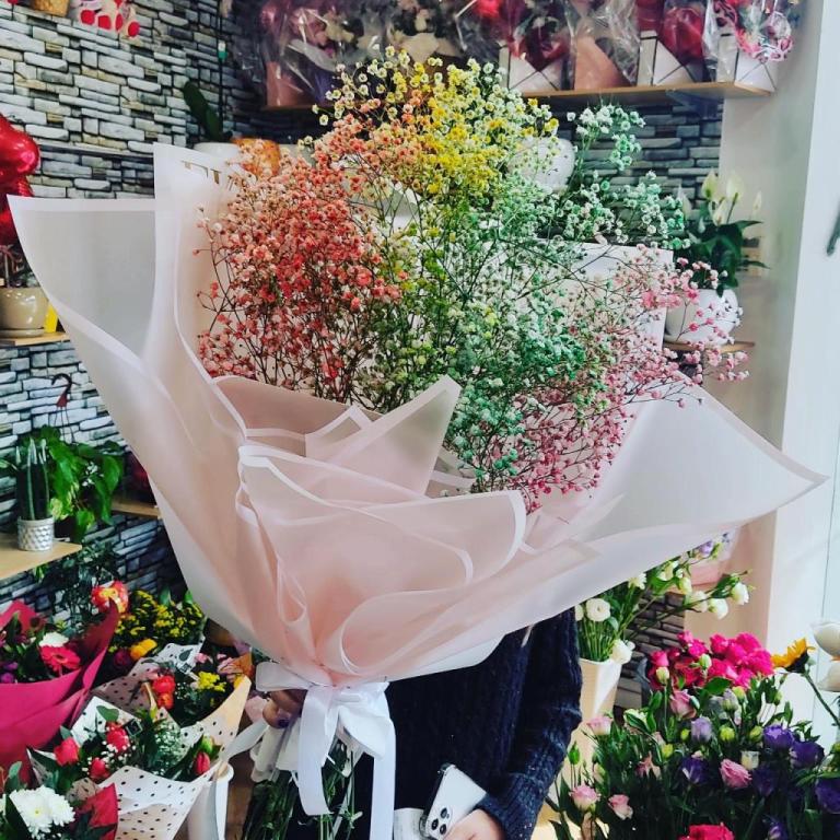 לילי בוטיק הצמחים לילי בוטיק הצמחים