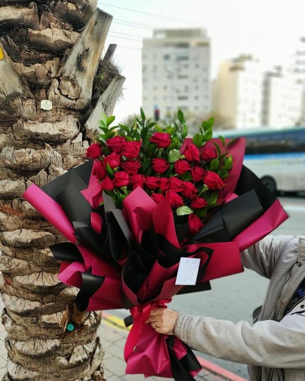 לילי בוטיק הצמחים לילי בוטיק הצמחים