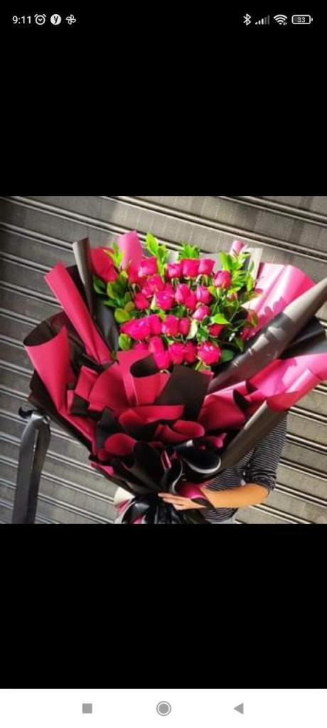 לילי בוטיק הצמחים לילי בוטיק הצמחים