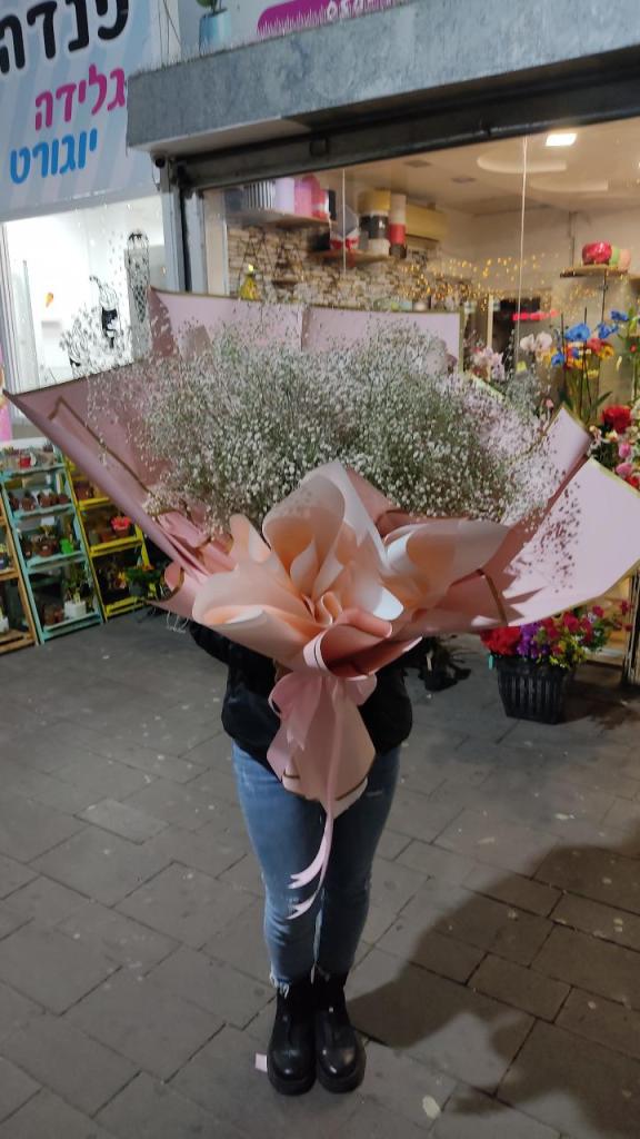 לילי בוטיק הצמחים לילי בוטיק הצמחים