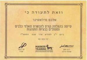 אלכס מאלפת