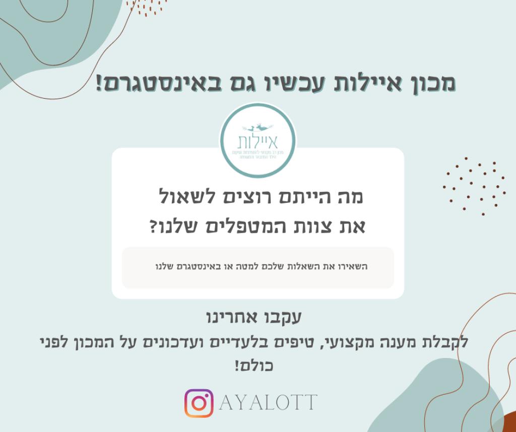 מכון איילות מכון איילות