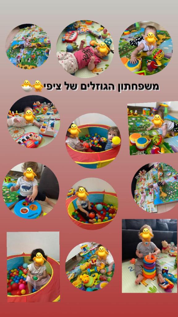 משפחתון הגוזלים של ציפי משפחתון הגוזלים של ציפי