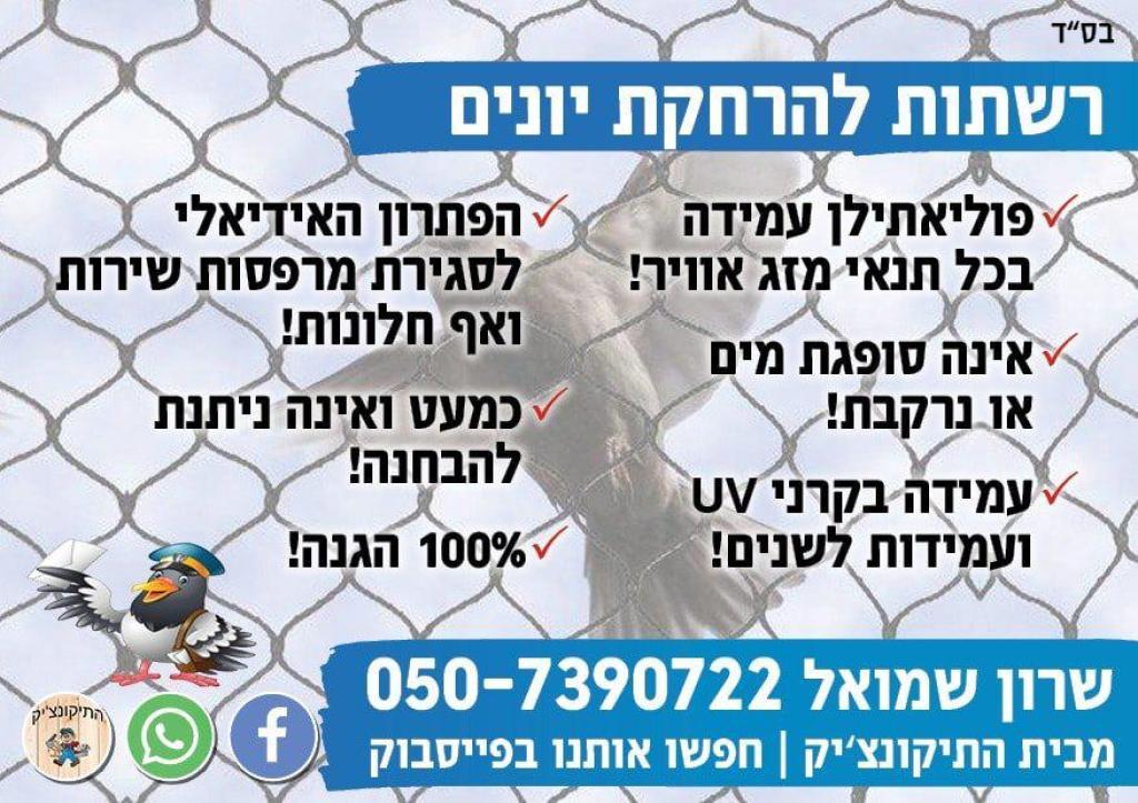 התיקונצ'יק התיקונצ'יק