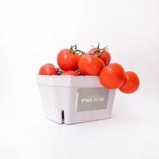 שדות הארץ חקלאות עברית