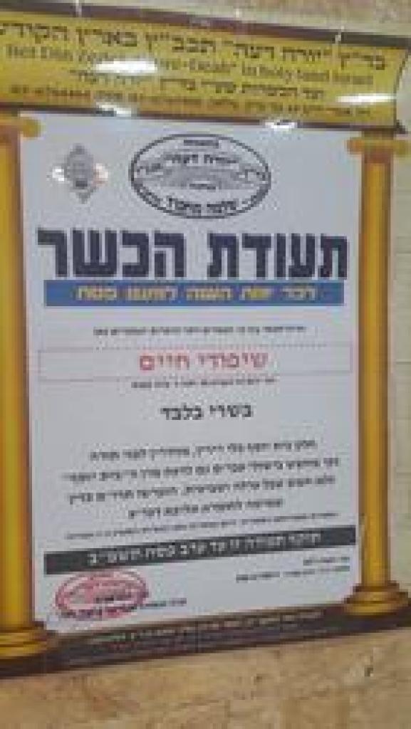 שיפודי חיים שיפודי חיים