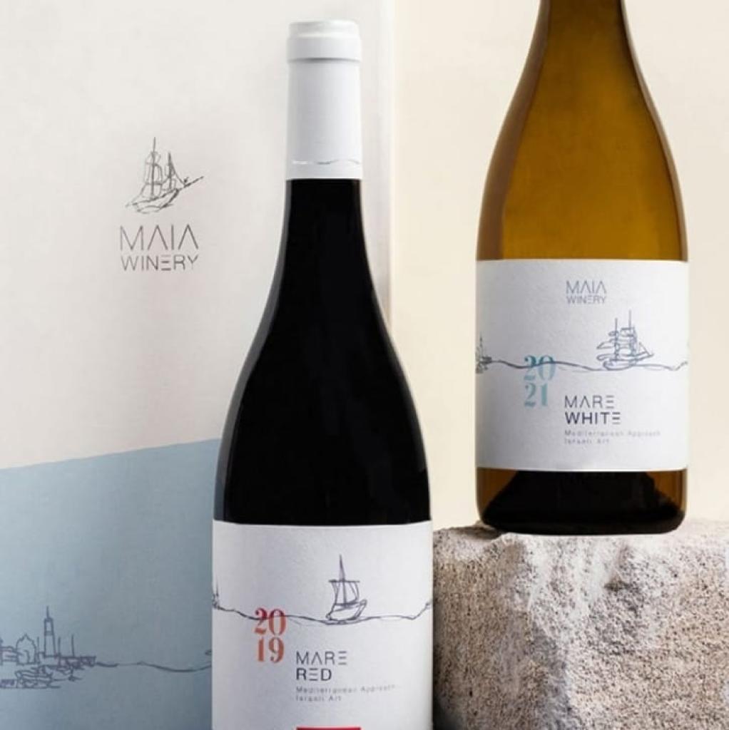 החצר האחורית החצר האחורית