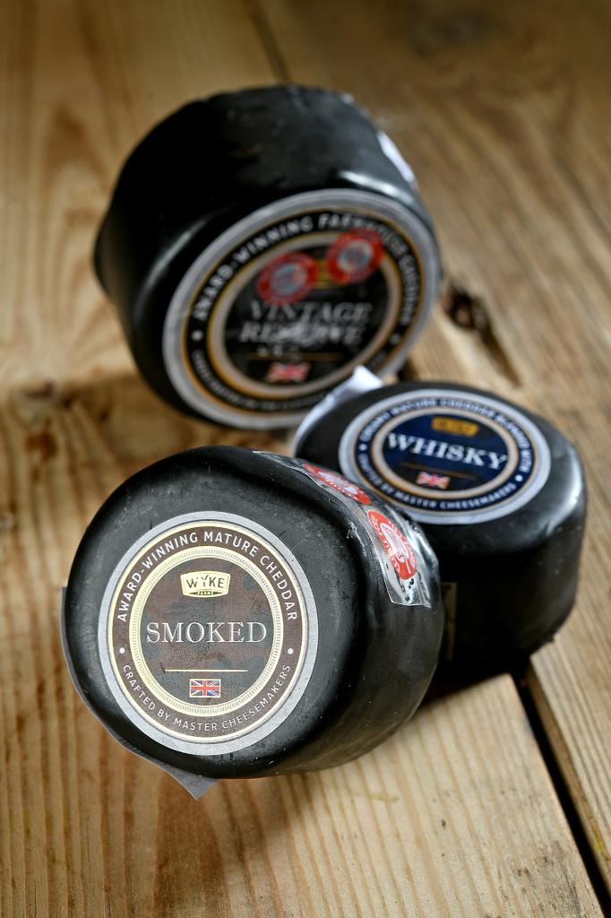 החצר האחורית החצר האחורית