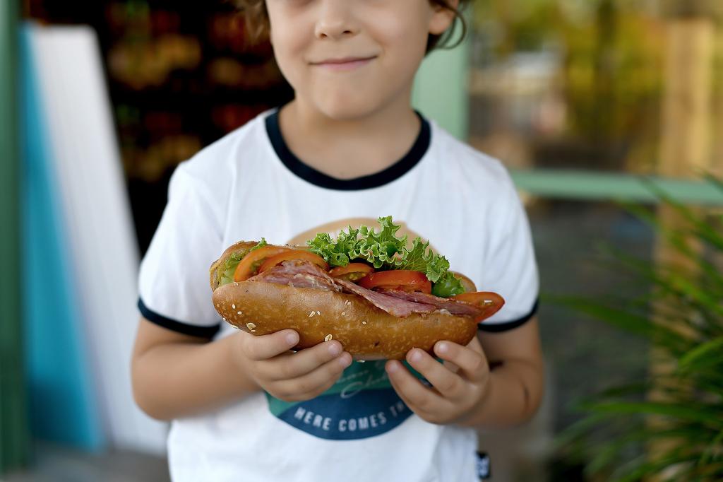החצר האחורית החצר האחורית