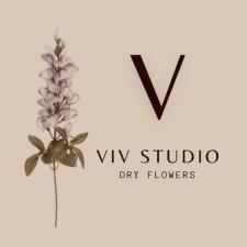 Viv studio