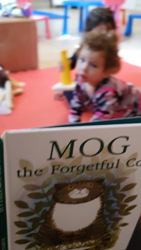 מגיקל בגיננינגס מגיקל בגיננינגס