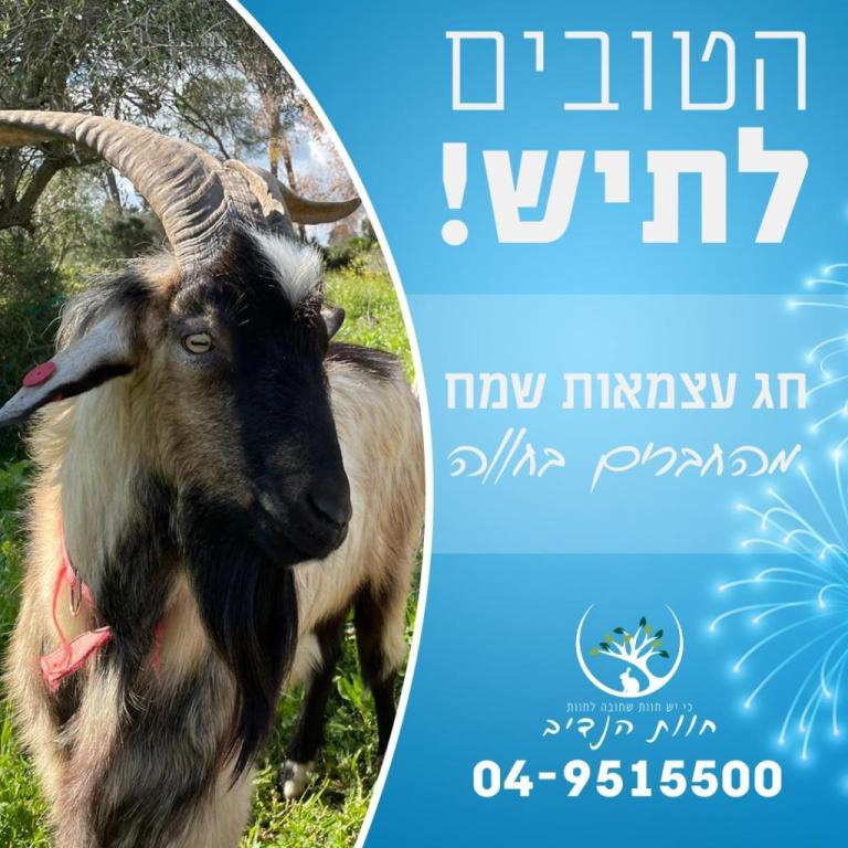 חוות הנדיב חוות הנדיב