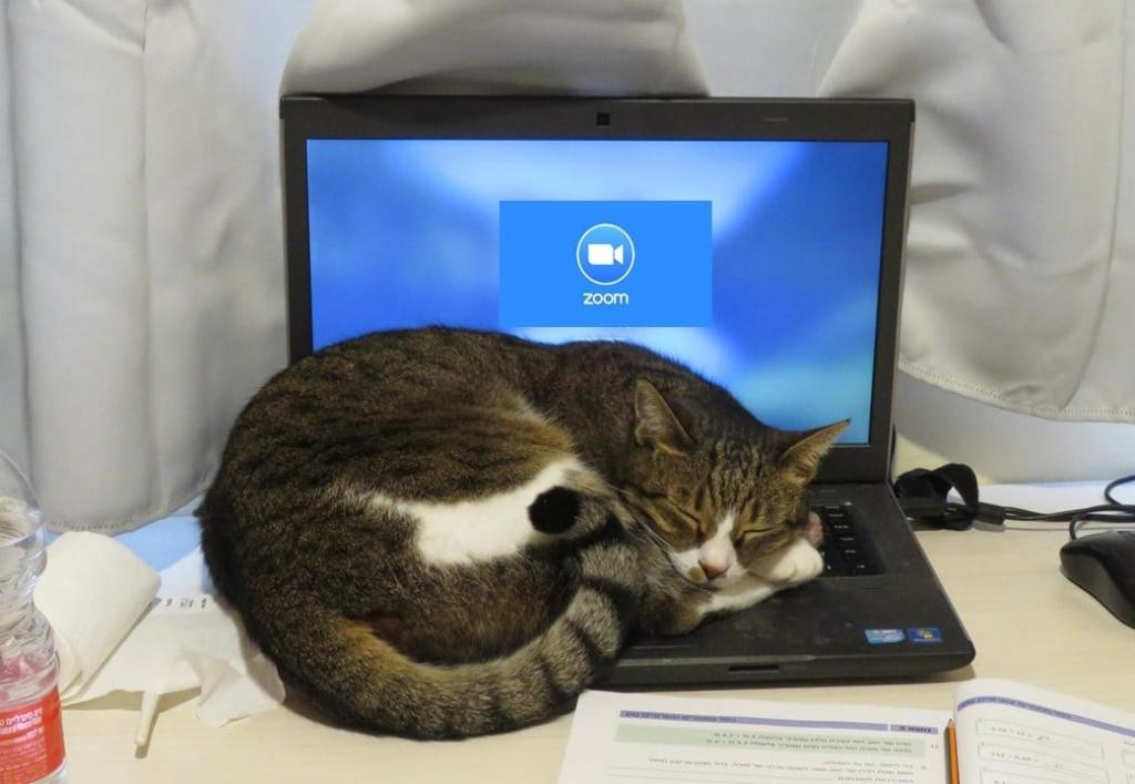 כרמל פתרון בעיות כרמל פתרון בעיות