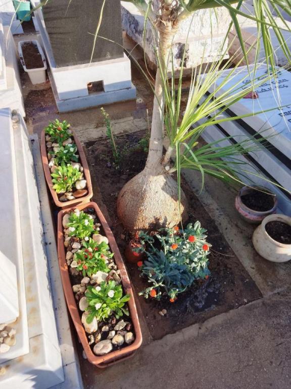 מתן ברששת מתן ברששת